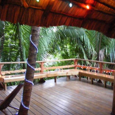 Cohune Palms River Cabanas Bullet Tree Falls Exterior photo