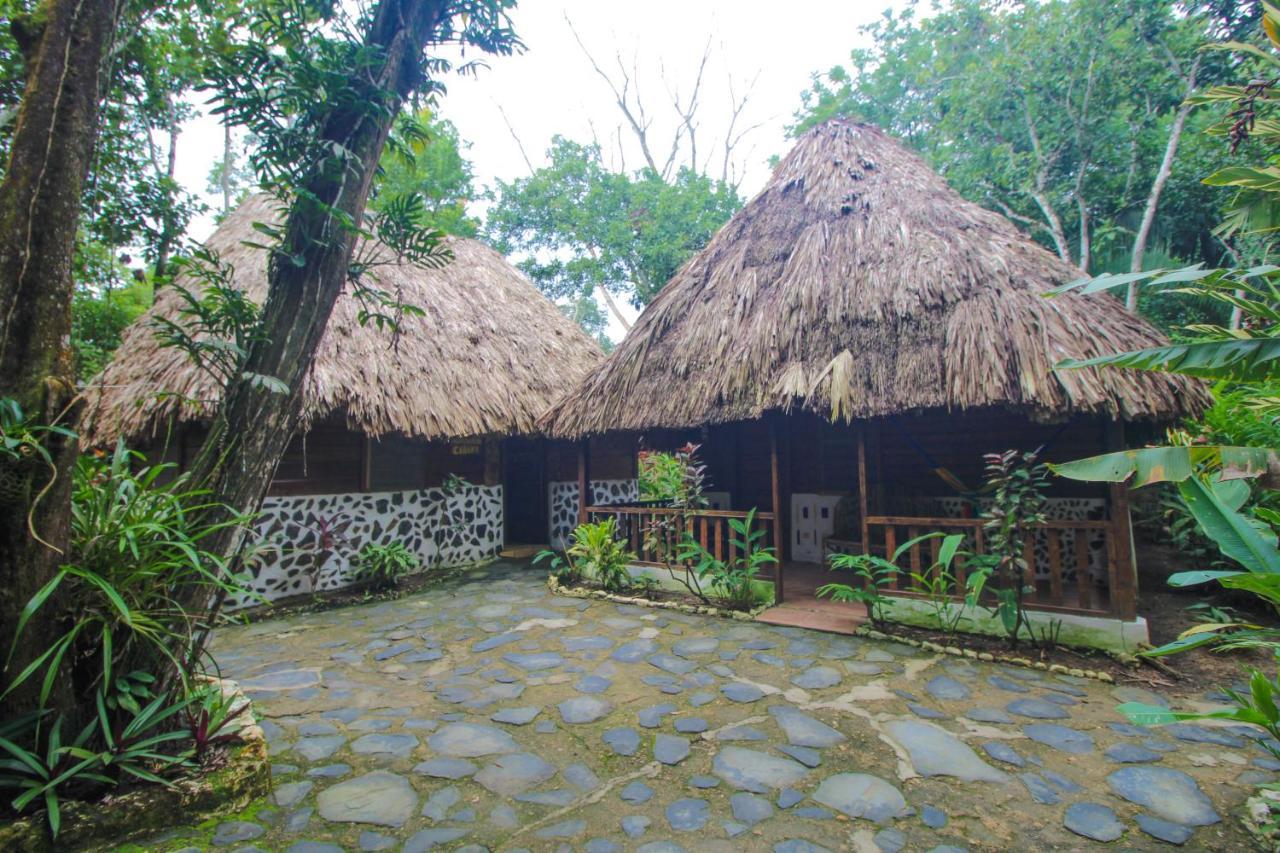 Cohune Palms River Cabanas Bullet Tree Falls Exterior photo